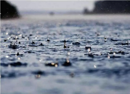 精格提醒您，雨季要注意饮用水污染